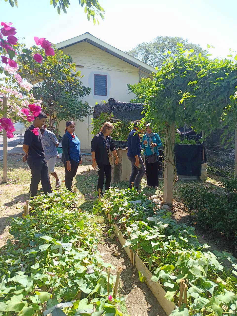 title - ศกร. ร่วมกับ ส.ป.ก.อยุธยา ติวเข้มเกษตรกร ชูโมเดล “โรงอบเคลื่อนที่ - ผัก 3 โลก - มันญี่ปุ่น” เพิ่มทางเลือกสร้างรายได้ในเขตปฏิรูปที่ดิน